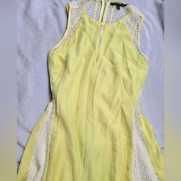 Walter Baker Sleeveless Lace Dress - Picture 3 of 6